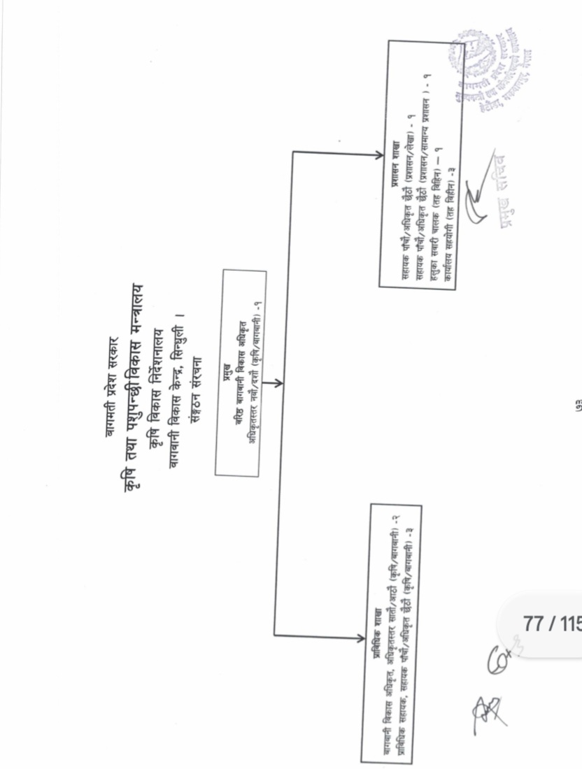 संगठन संरचना 